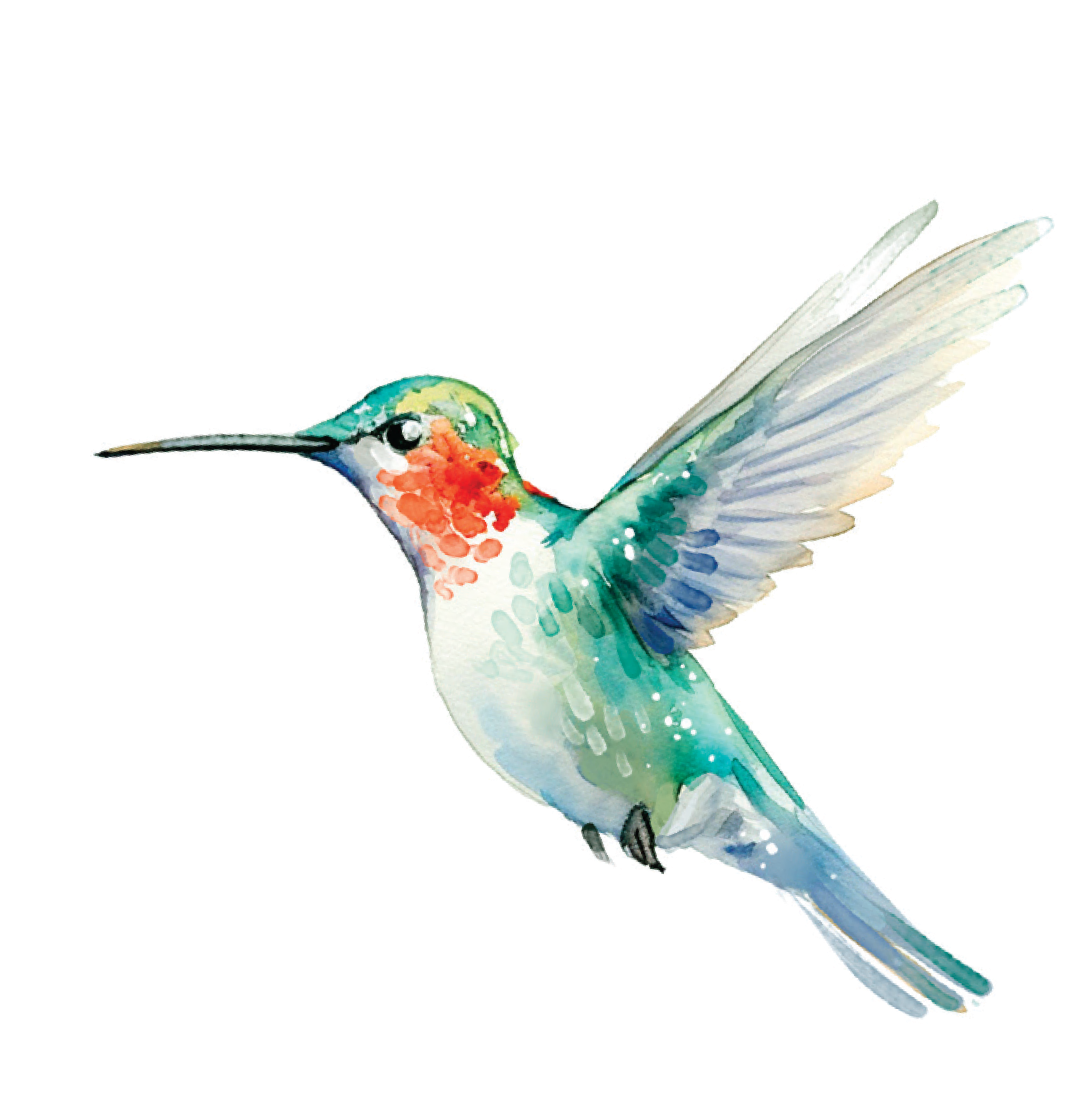 decoration-image on left of program music  