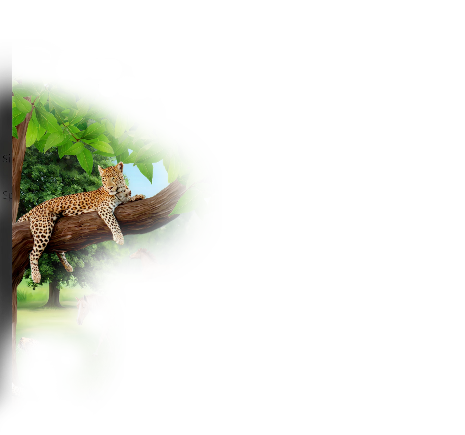 decoration-image on left of tiger