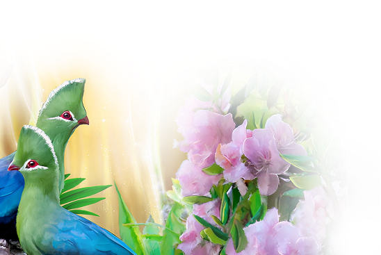 decoration-image on left of tiger